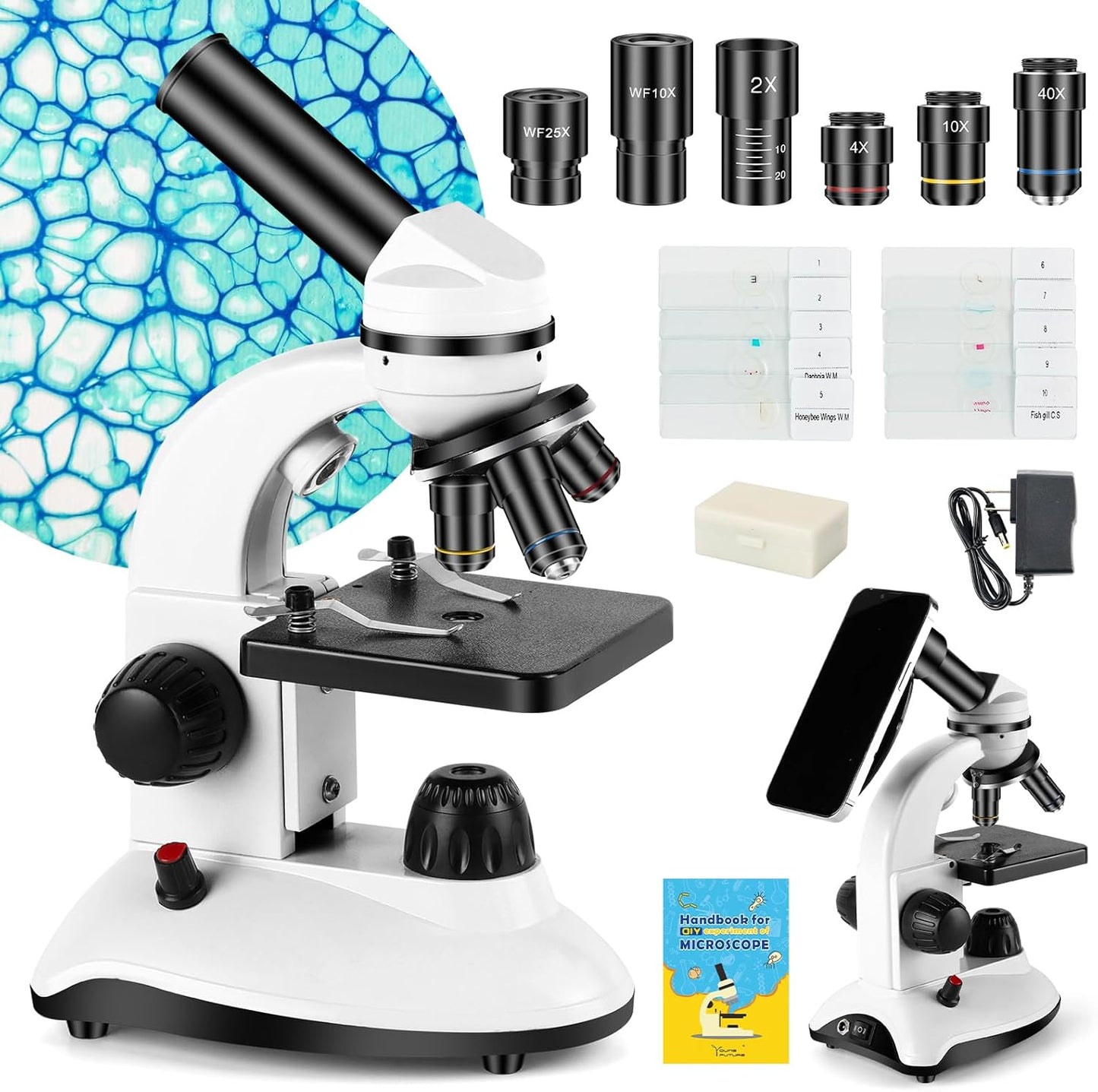 Microscope for Adults and Kids, Science School Laboratory Home Education Biology, 40-2000X High Definition,Easy to Operate,with Phone Holder 10 Specimen Slides 100 Coverslips and Bag for Student