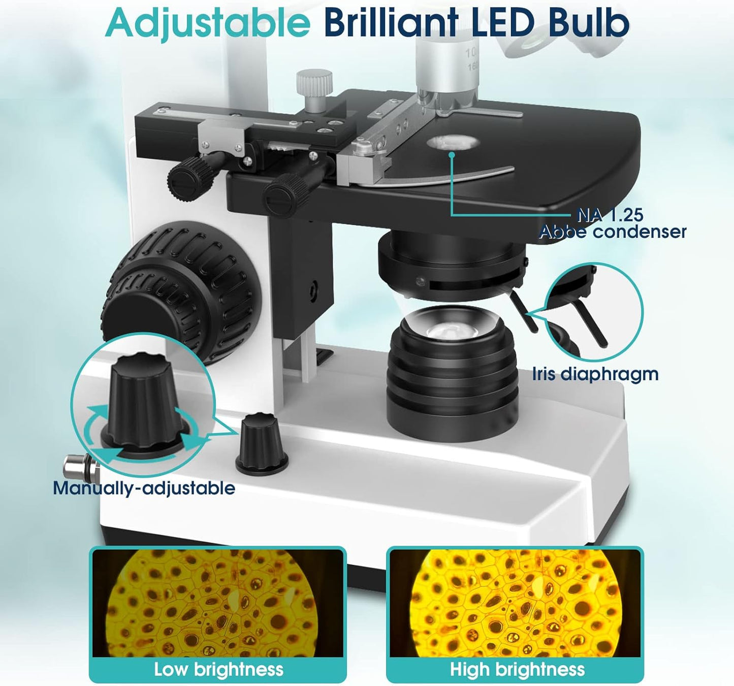 Microscope for Adults with 40X-2500X Magnification, Dual-View Research-Grade Compound Monocular Microscopes with 7'' LCD Screen, Wide-Field 10X 25X Eyepiece, Built in 5MP Camera, Dual Illumination