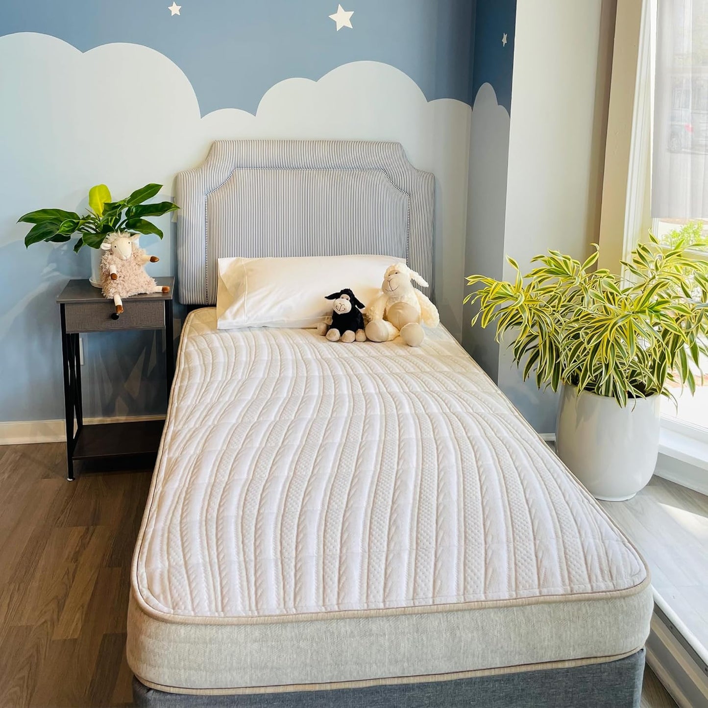 Ethical Mattress CO 6" Kid’s Mattress, Toxin-Free, Made in The USA with Organic Cotton, Wool, Latex & Pocketed Coils (Bed-in-a-Box); Perfect for bunk beds, trundles & Platform beds - Full Size